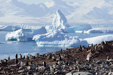 Встреча «К берегам Антарктиды»