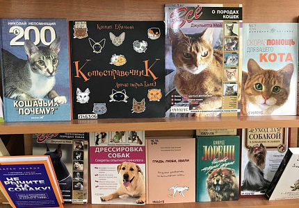 Книжная выставка «Книги, которые помогут лучше понять животных»