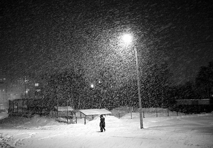 Фотовыставка «Снег»