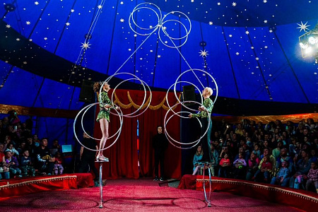 Цирковое представление «Однажды в сказке»