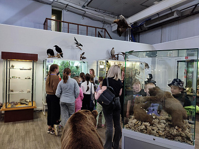 Музейное занятие «Животный мир Кольского полуострова»